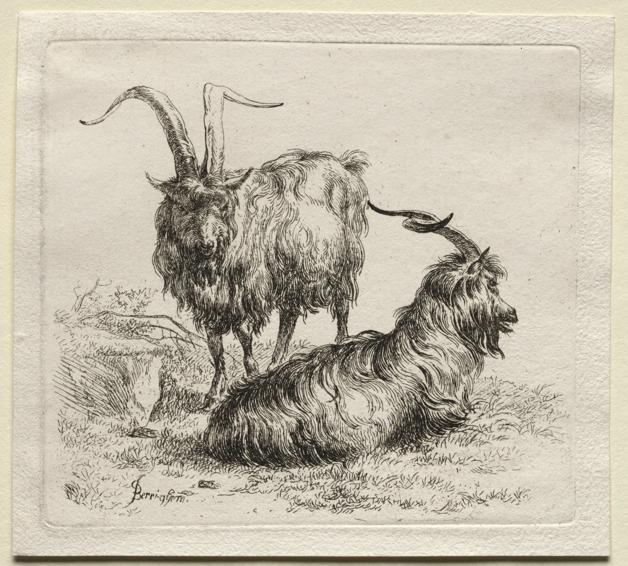 Dvě kozy. od Nicolaes Pietersz. Berchem