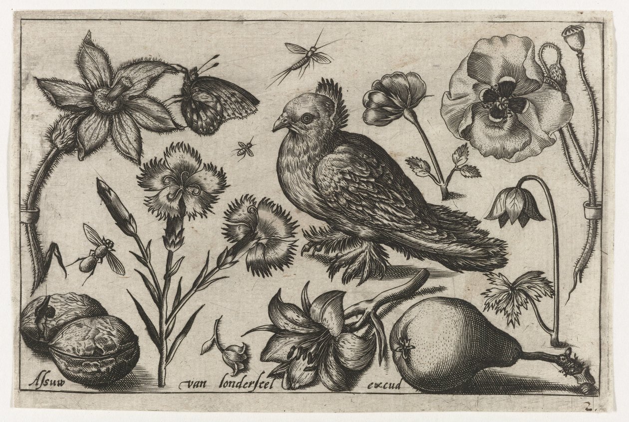 Květiny, hruška a holub Ptáci, květiny, hmyz atd. (název série) od Nicolaes de Bruyn (possibly)