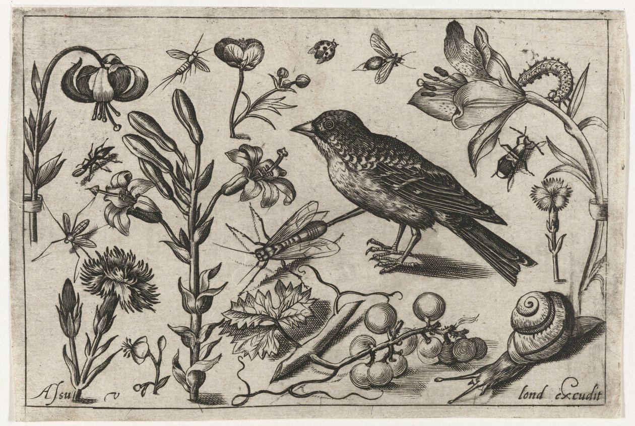 Květiny, šnek a pták Ptáci, květiny, hmyz atd. (název série) od Nicolaes de Bruyn (possibly)