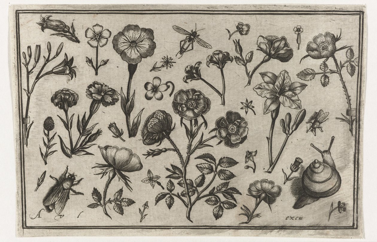 Květiny, moucha a šnek Ptáci, květiny, hmyz atd. (název série) od Nicolaes de Bruyn (possibly)