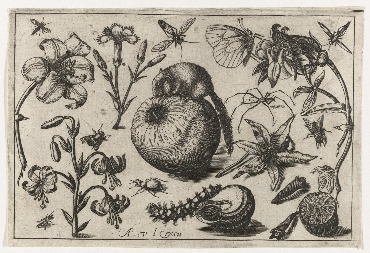 Květiny a myš na jablku Ptáci, květiny, hmyz atd. (název série) od Nicolaes de Bruyn (possibly)