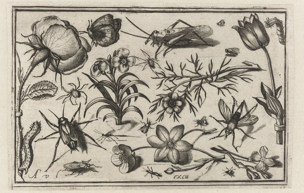 Květiny a hmyz Ptáci, květiny, hmyz atd. (název série) od Nicolaes de Bruyn (possibly)