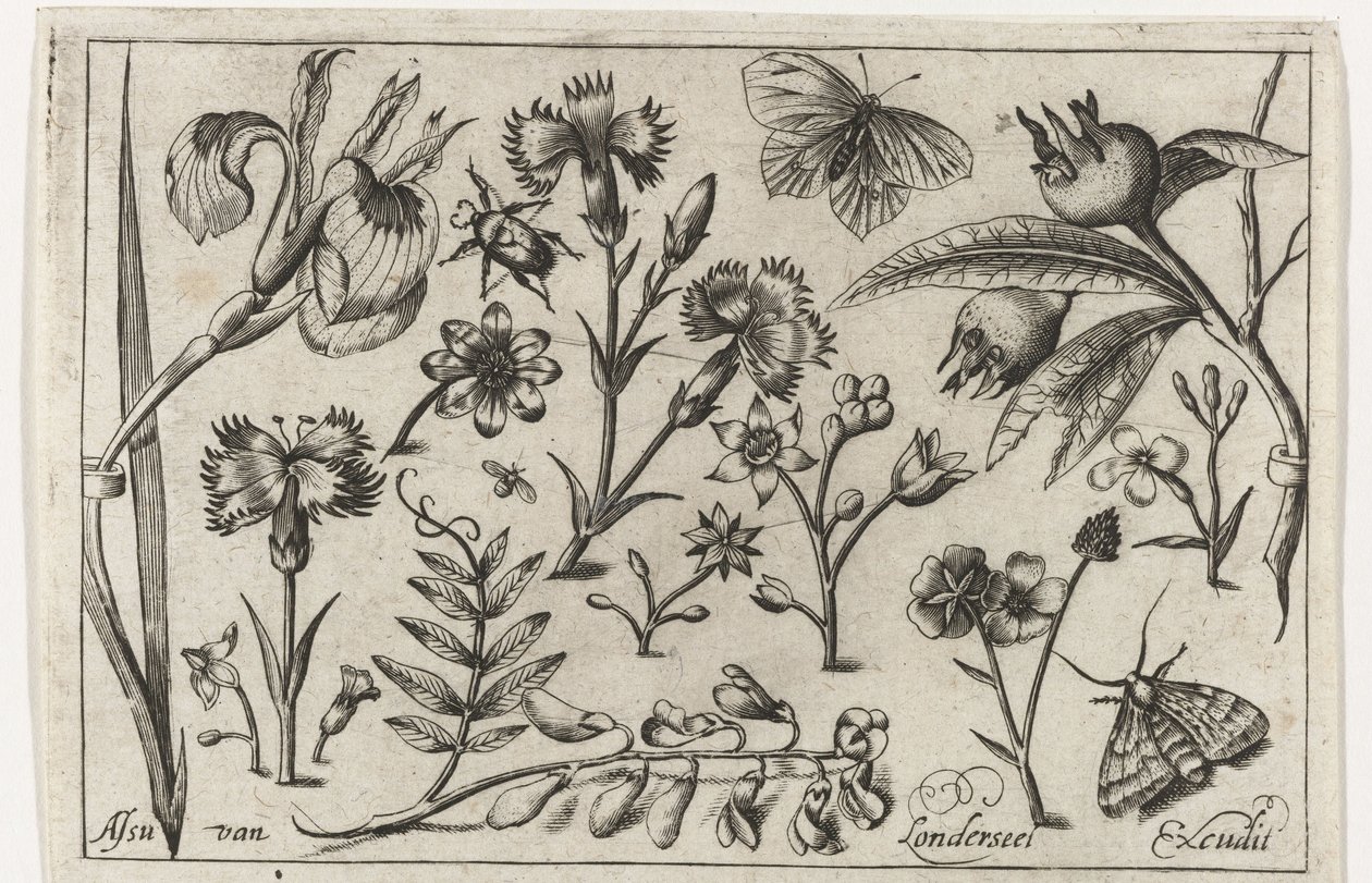 Květiny a motýli Ptáci, květiny, hmyz atd. (název série) od Nicolaes de Bruyn (possibly)