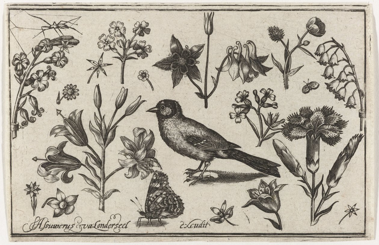 Květiny, motýl a pták Ptáci, květiny, hmyz atd. (název série) od Nicolaes de Bruyn (possibly)