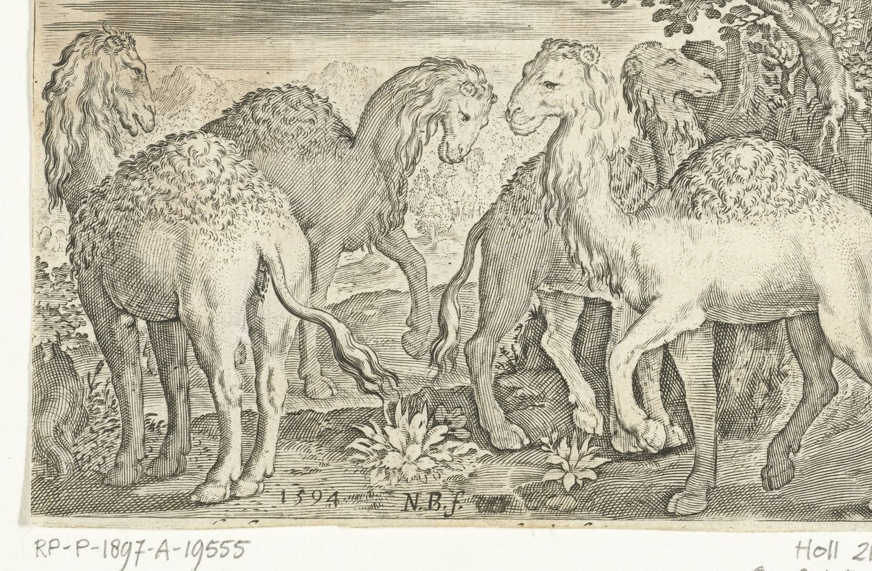 Čtyři dromedáři Animalivm qvadrvpedvm (název série) Zvířata v krajině (název série) od Nicolaes de Bruyn