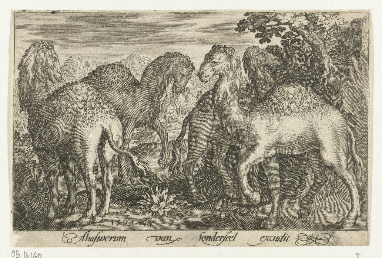 Čtyři dromedáři Animalivm qvadrvpedvm (název série) Zvířata v krajině (název série) od Nicolaes de Bruyn