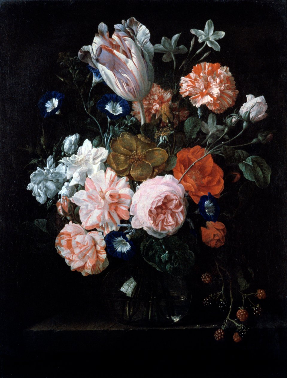 Tulipán, karafiáty a svlačec ve skleněné váze, 17. století. od Nicolaes van Veerendael