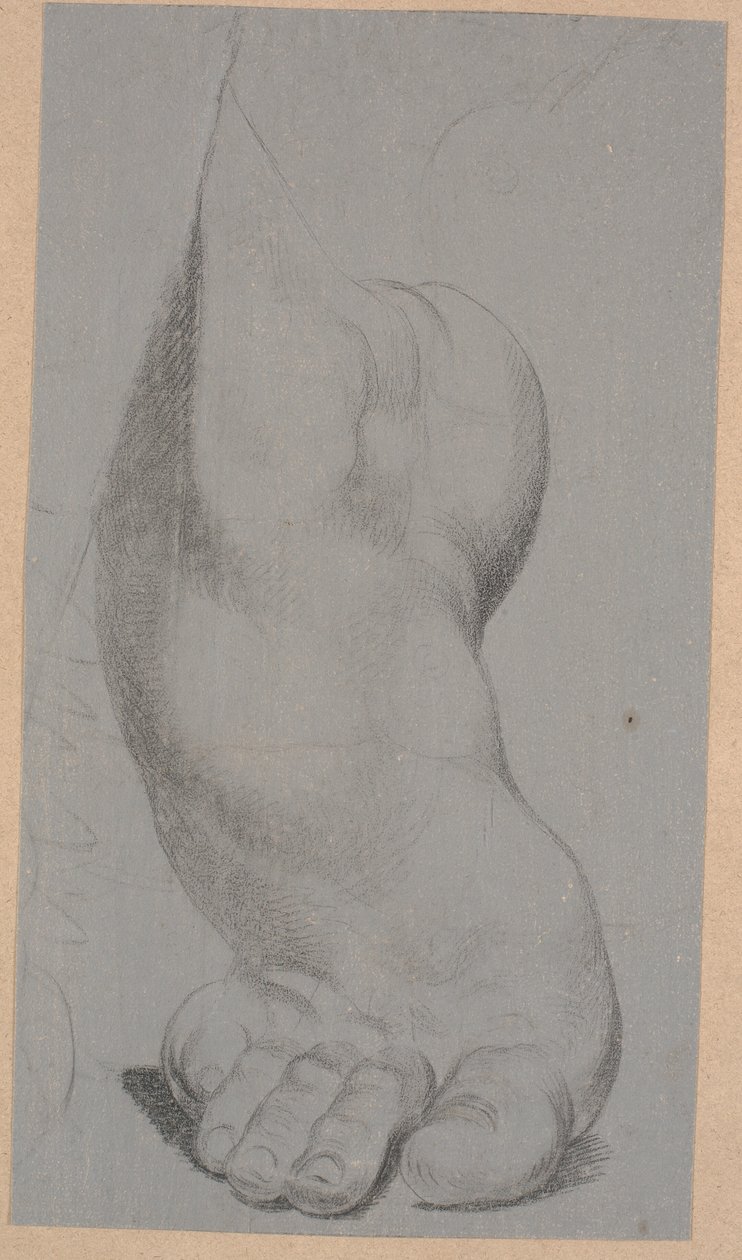 Studie nohy od Nicolai Abildgaard