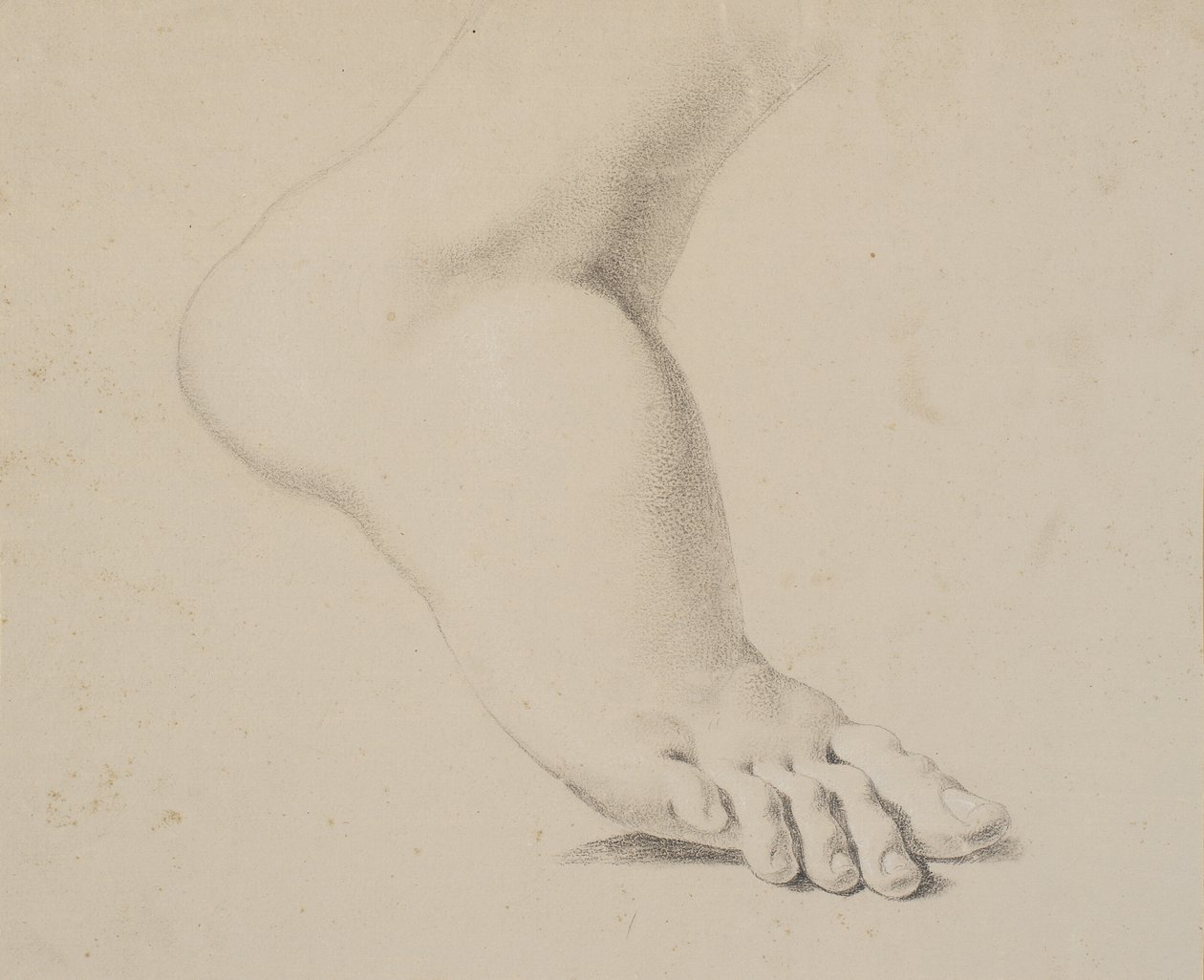 Studie nohy od Nicolai Abildgaard