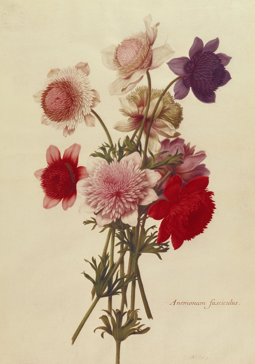 Unbekanntes Bild od Nicolas Robert