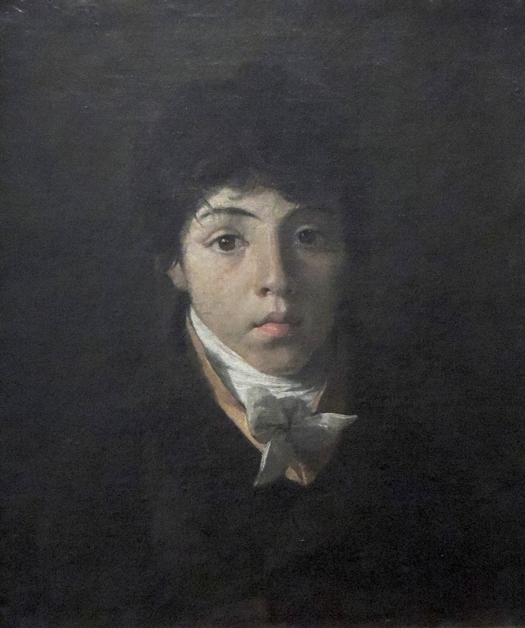 Portrét mladého Teodoro Taunay od Nicolas Antoine Taunay
