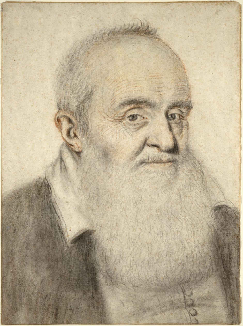 Hlava vousatého muže (barevné křídy na papíře) od Nicolas Lagneau or Lanneau
