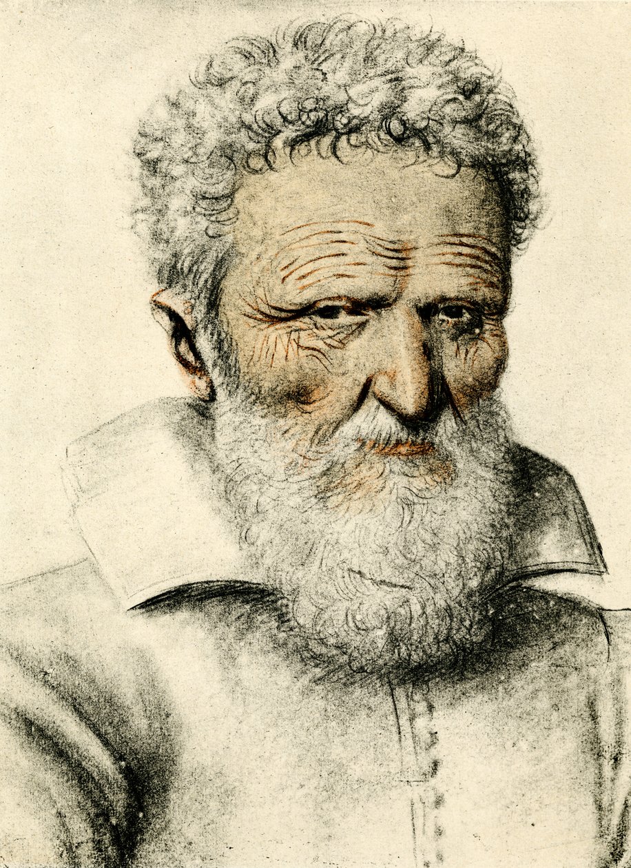 Portrét starého muže od Nicolas Lagneau or Lanneau