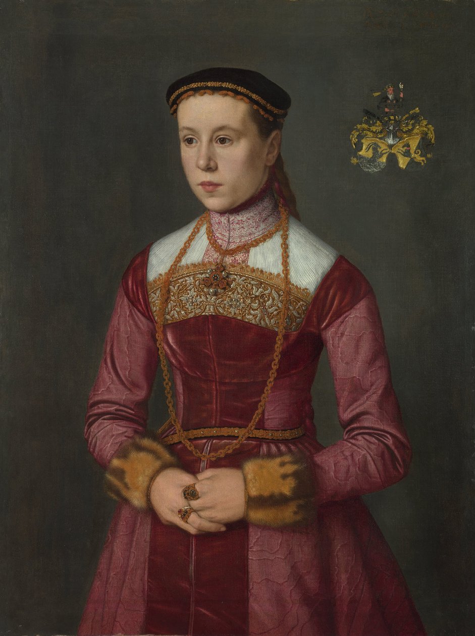 Portrét mladé dámy, cca 1561 od Nicolas Neufchatel