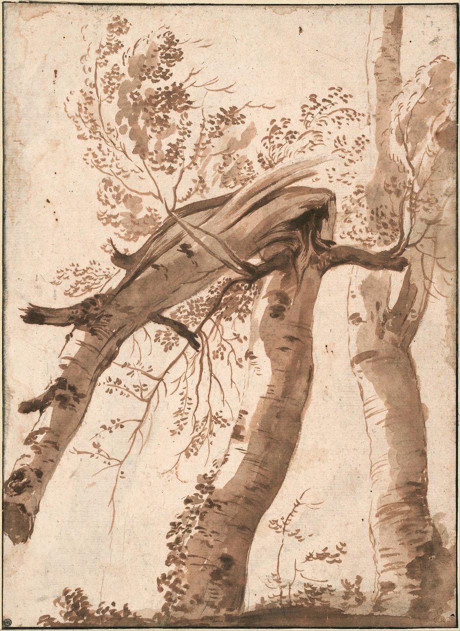Dvě stříbrné břízy, přední padlá, c. 1629 od Nicolas Poussin