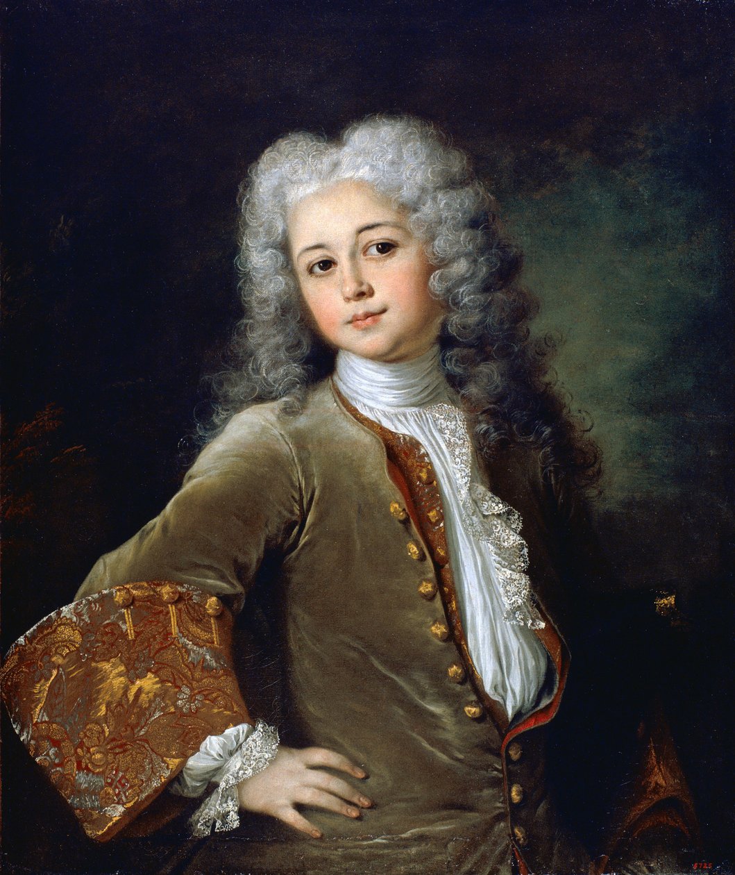 Portrét mladého muže s parukou od Nicolas de Largillière
