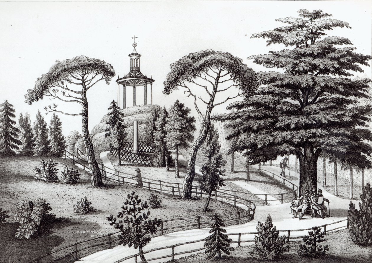 Labyrint z Jardin des Plantes, Paříž, vyrytý Francois Aubertin (177383-1821) od Nicolas the Younger Huet