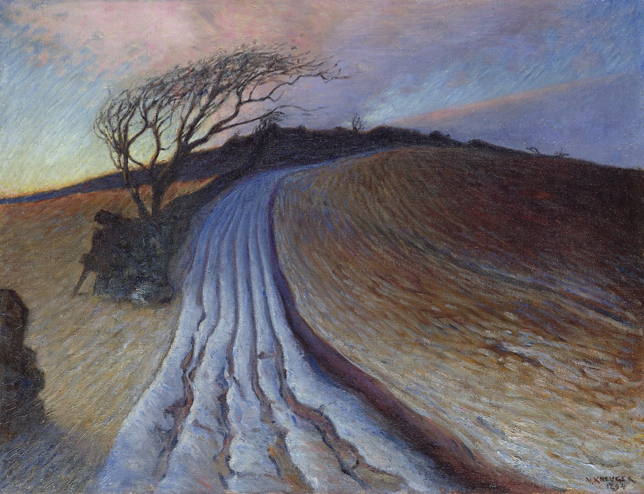 Říjnový večer v Apelviku, 1894 od Nils Kreuger