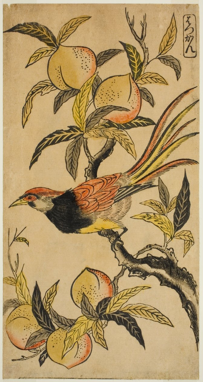 Stříbrný bažant (Hakkan) od Nishimura Shigenaga