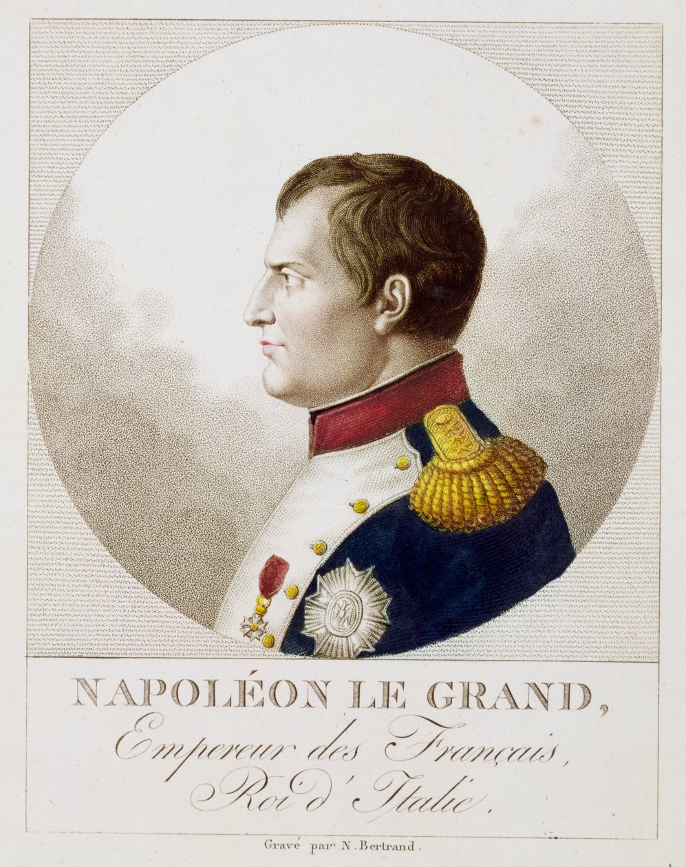 Portrét Napoleona od Noel Francois Bertrand