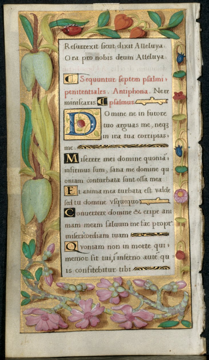 List z knihy hodin: Penitential Psalms, c. 1530-1535. od Noel Bellemare