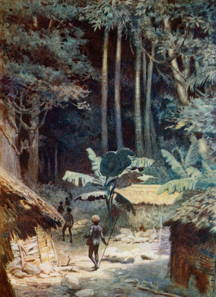 V hlubinách melanéského lesa, 1908 od Norman Hardy