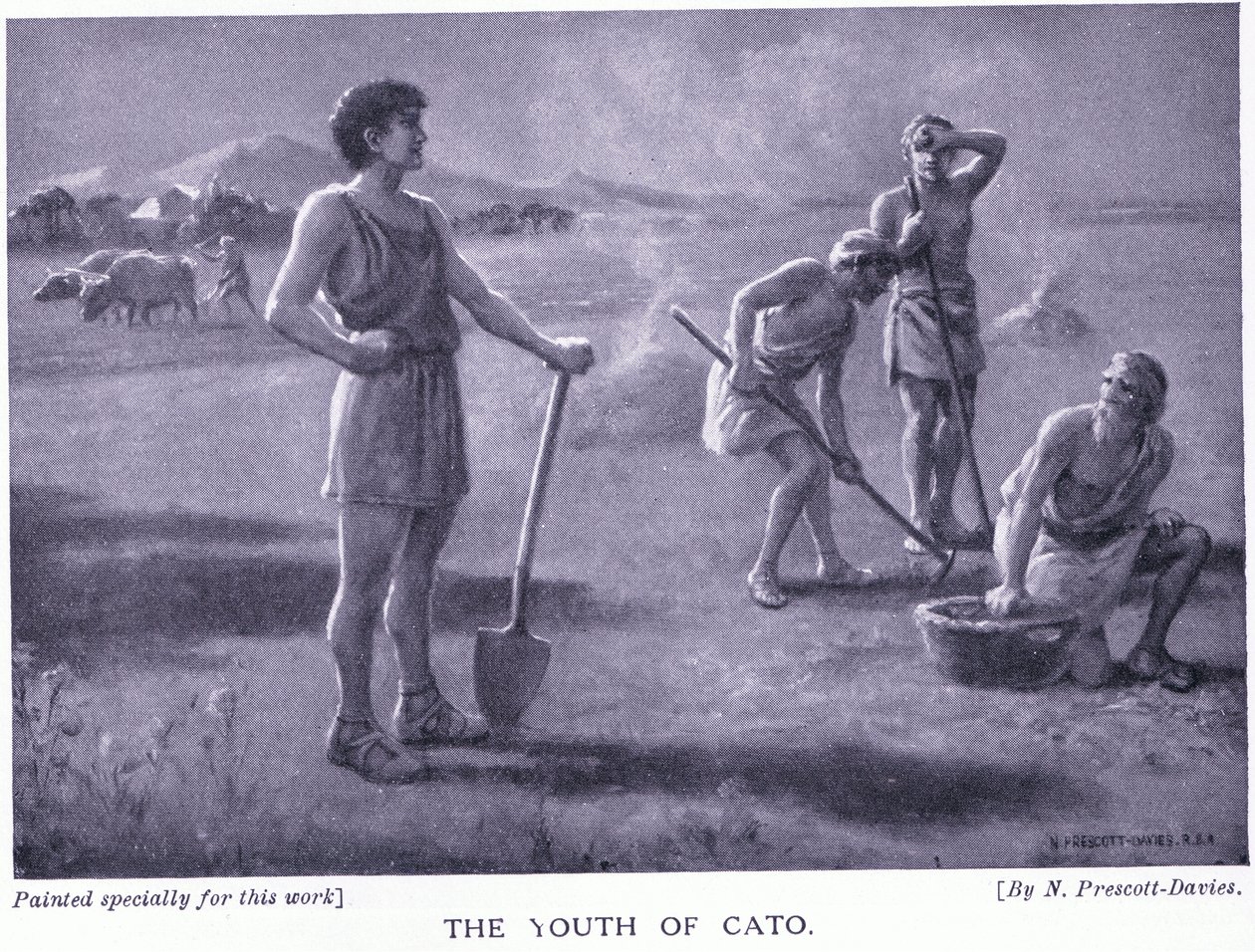 Catova mládež od Norman Prescott Davies