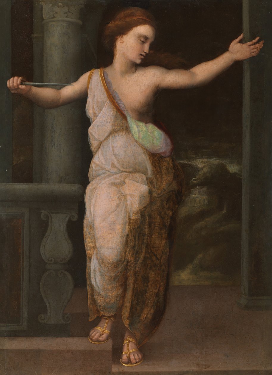 Suicide of Lucretia, c.1530-50 (olej na panelu) od Northern European School