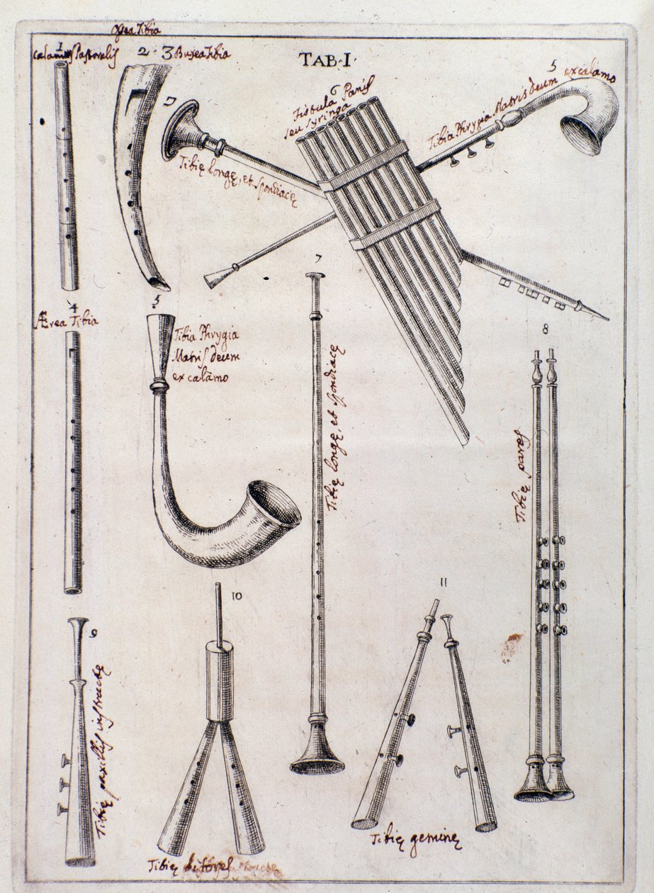 Dechové nástroje Stránka z "The Three Types of Musical Instruments" pracuje o starých nástrojích od Francesca Bianchiniho od Northern Italian School
