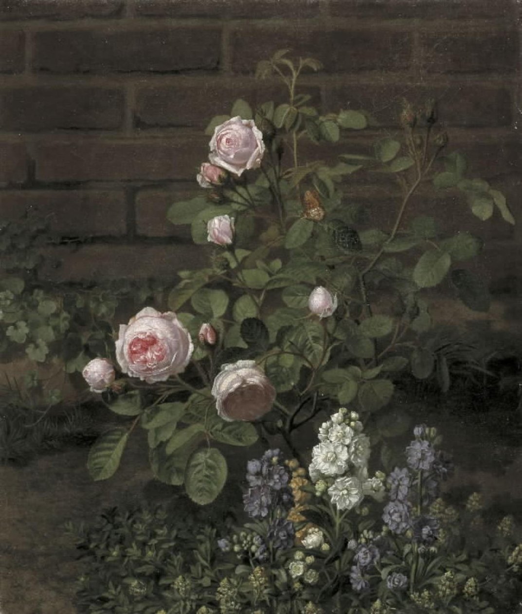 Moss Rose strom obklopený letní květiny od O.D. Ottesen