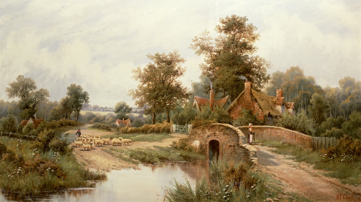 Ovce Drover od Thomas Clark
