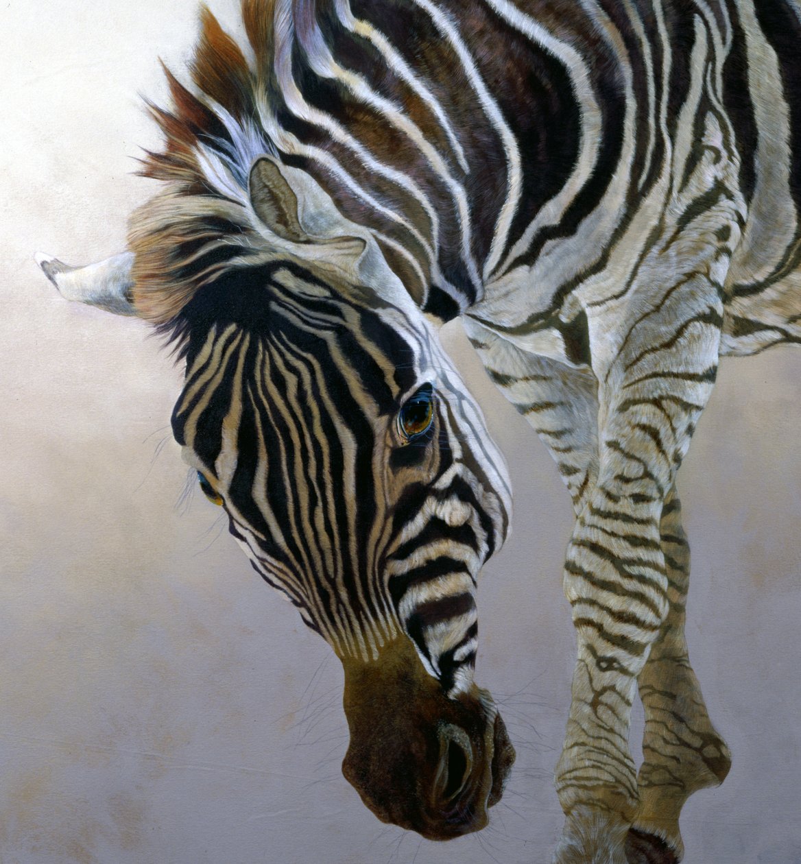 Equus burchelli 2 (detail), 2010 (akryl na plátně) od Odile Kidd