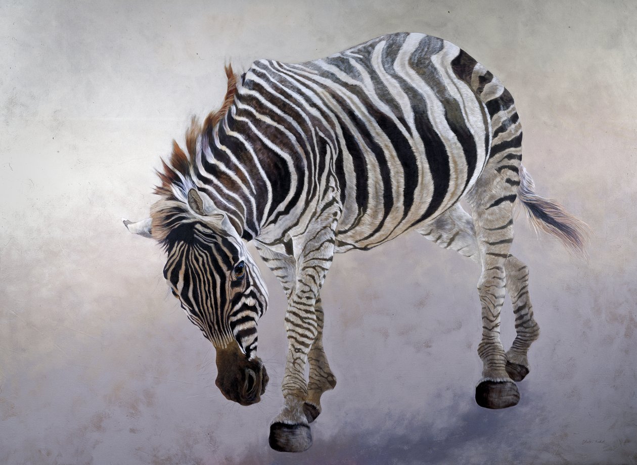 Equus burchelli 2, 2010 (akryl na plátně) od Odile Kidd
