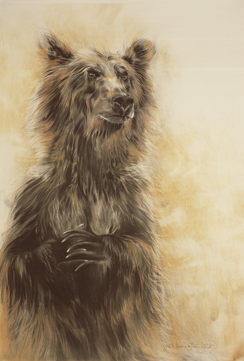 Medvěd grizzly 1, 2002 (uhlová tužka, uhel a křída) od Odile Kidd