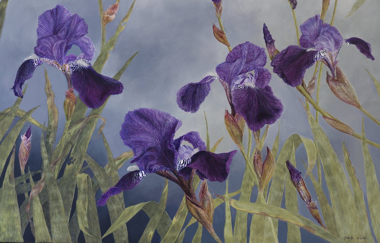 Iris hybrida (detail), 2015 (akryl na dřevě s gesso) od Odile Kidd