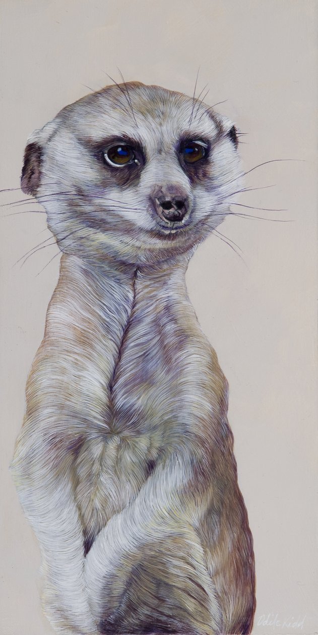 Surikata 1, 2009 (akryl na dřevě) od Odile Kidd