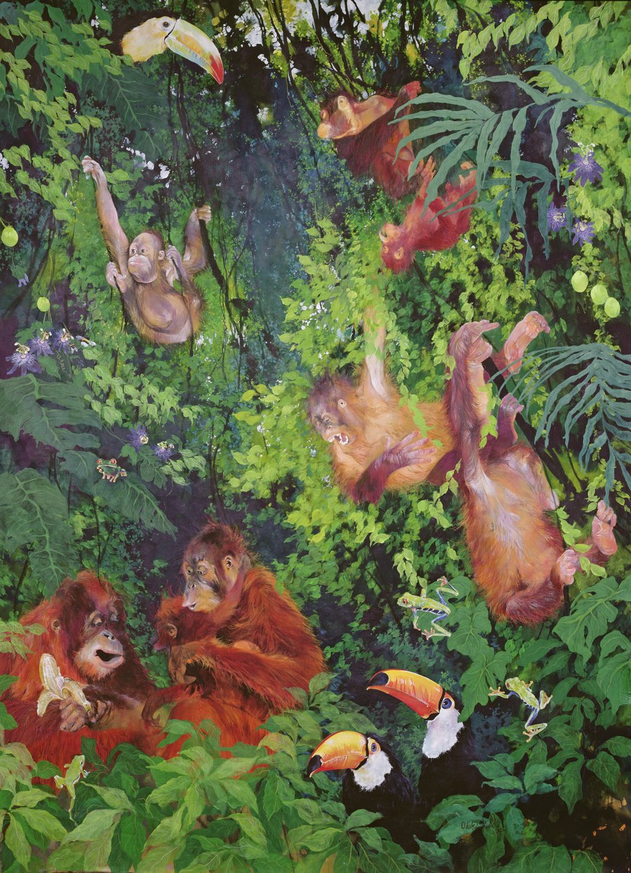 Orangutani a tukani od Odile Kidd
