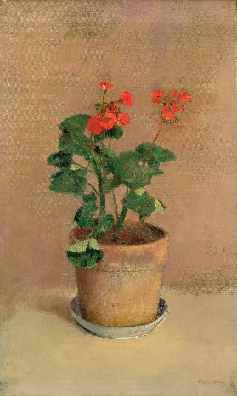 Muškáty v květináči, kolem roku 1905 od Odilon Redon