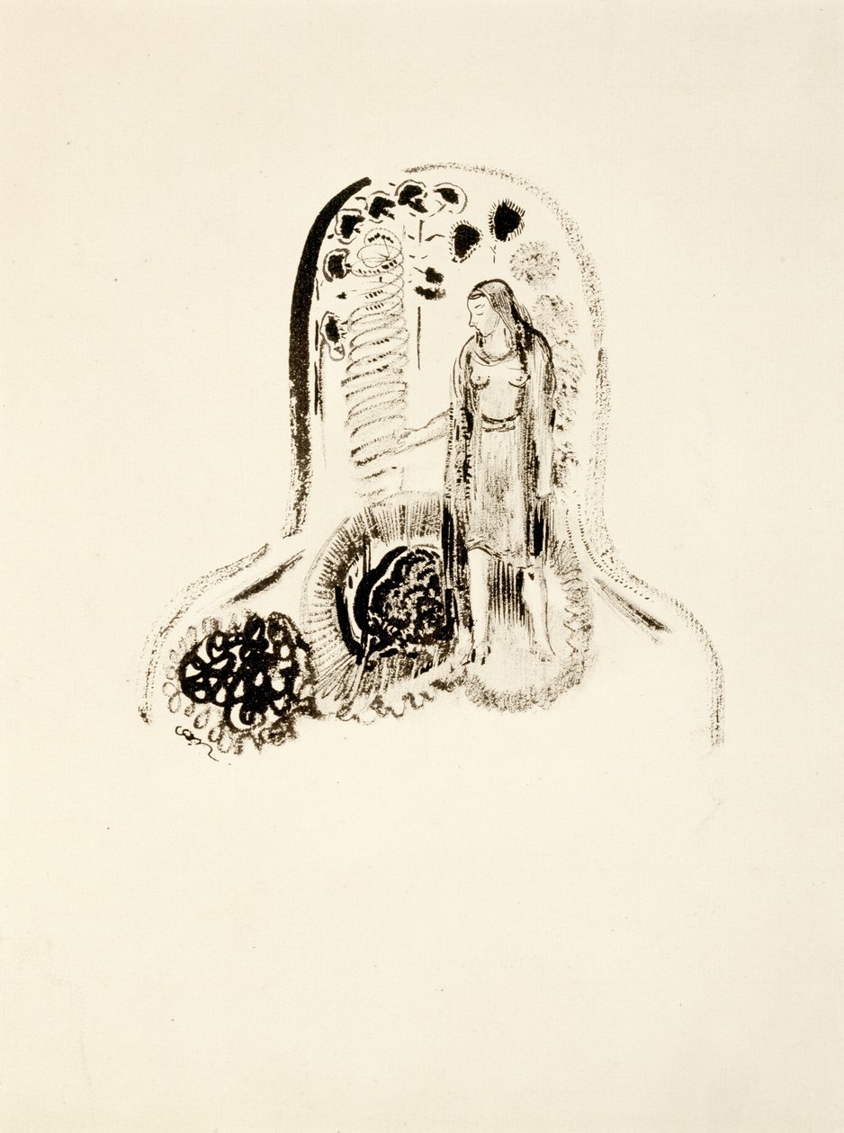 Jeune Fille dans un Jardin de Fleurs, 1896-1900 od Odilon Redon