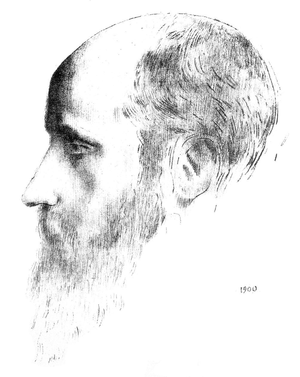 Vuillardův portrét (umělecká předloha) od Odilon Redon