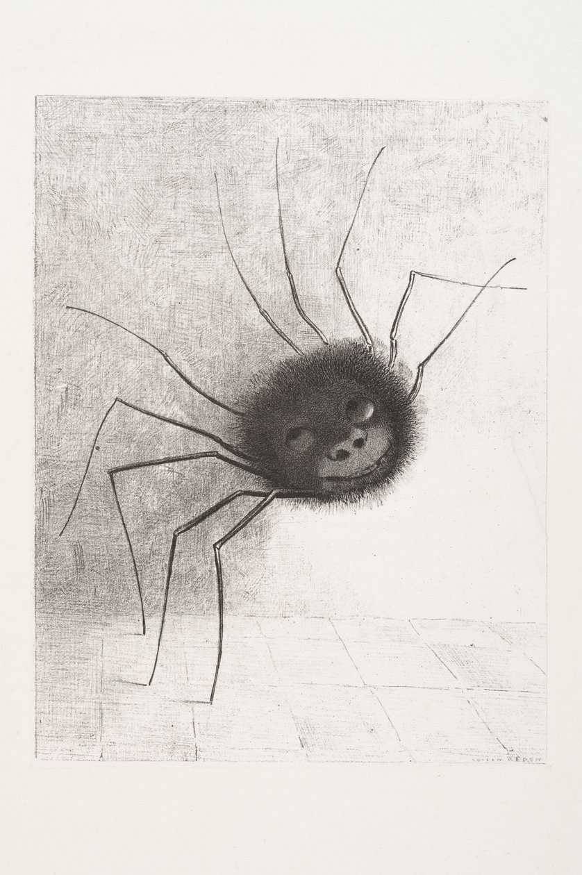 Usmívající se pavouk, kolem roku 1881 od Odilon Redon