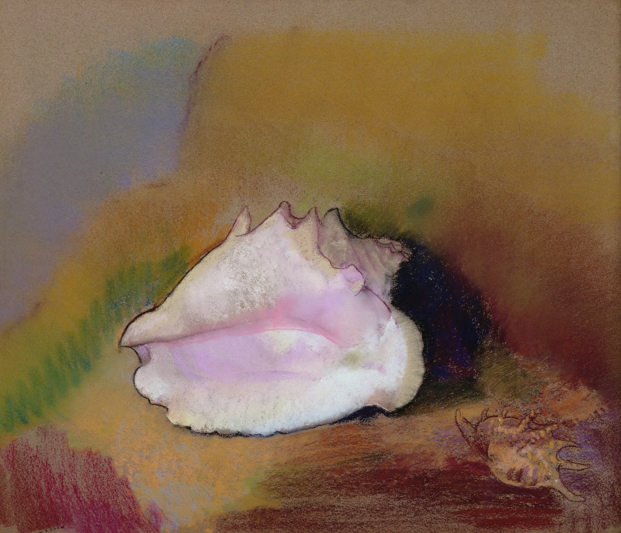 Shell, 1912 (pastel na papíře) od Odilon Redon