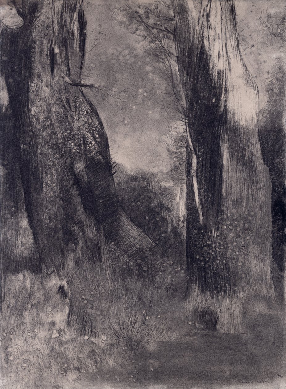 The Trees, 1890 (uhlí na papíře) od Odilon Redon