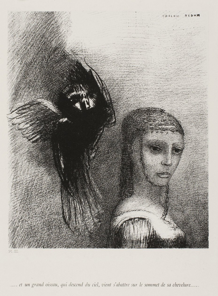A velký pták, sestupující z nebe, se vrhá proti nejvyššímu bodu jejích vlasů, deska 3 z 10, 1888 od Odilon Redon