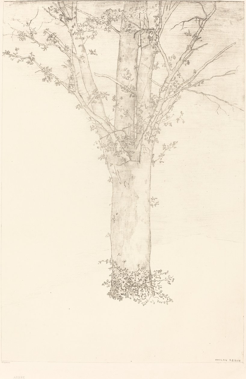 Strom od Odilon Redon