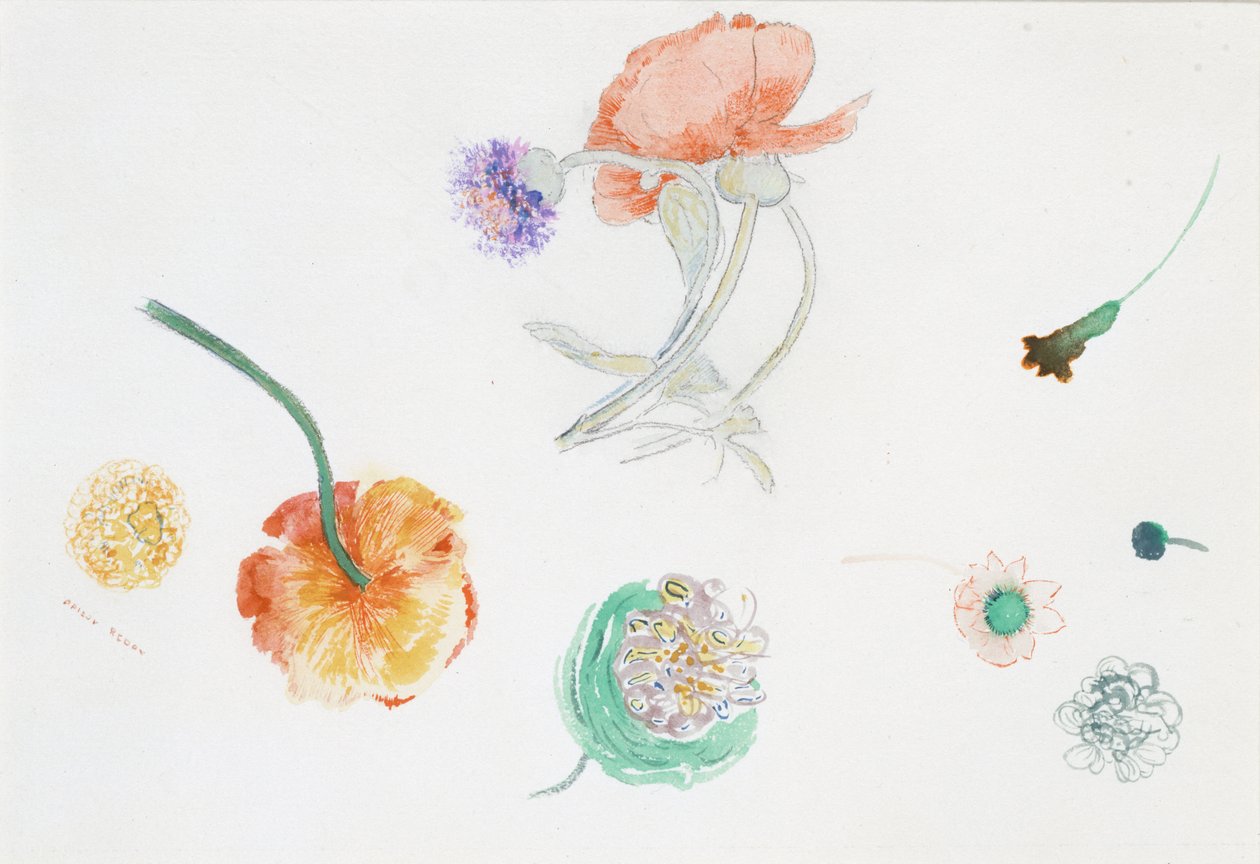 Náčrt květin od Odilon Redon
