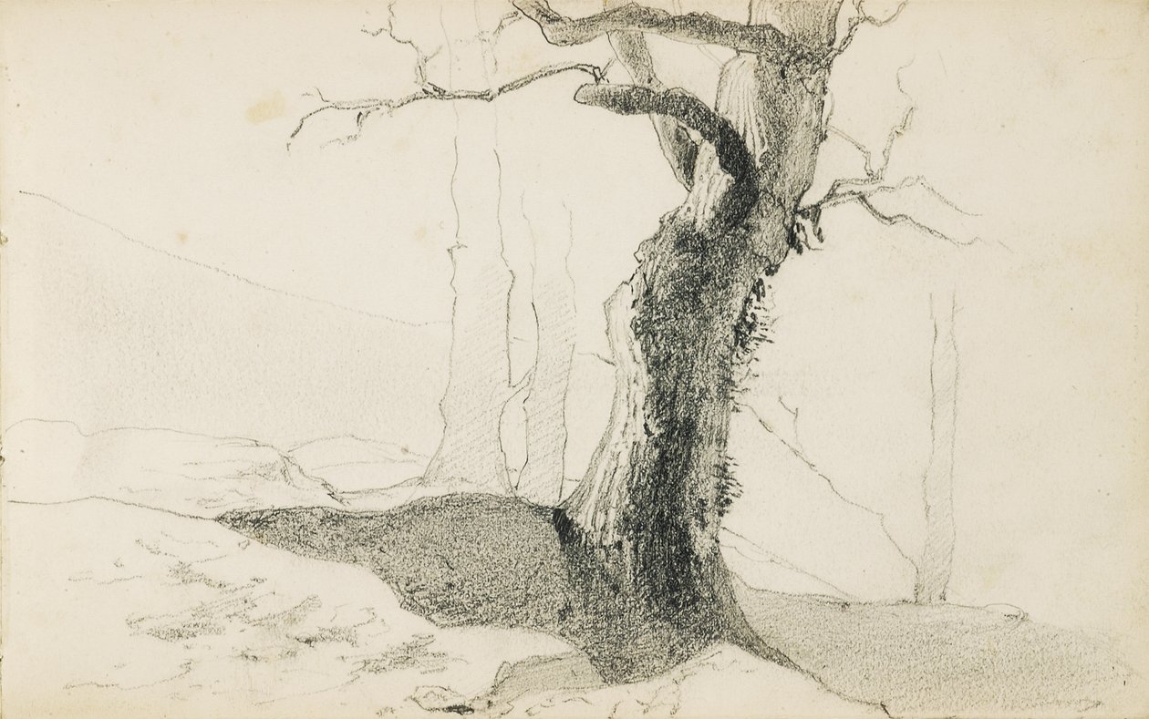 Kresba z alba s názvem „Baskicko“, 1862-63 od Odilon Redon