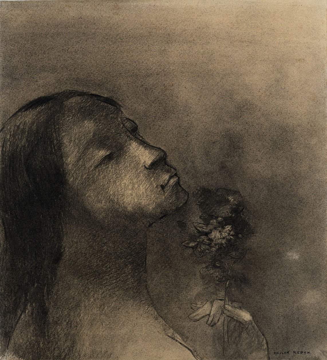 Květ zla od Odilon Redon