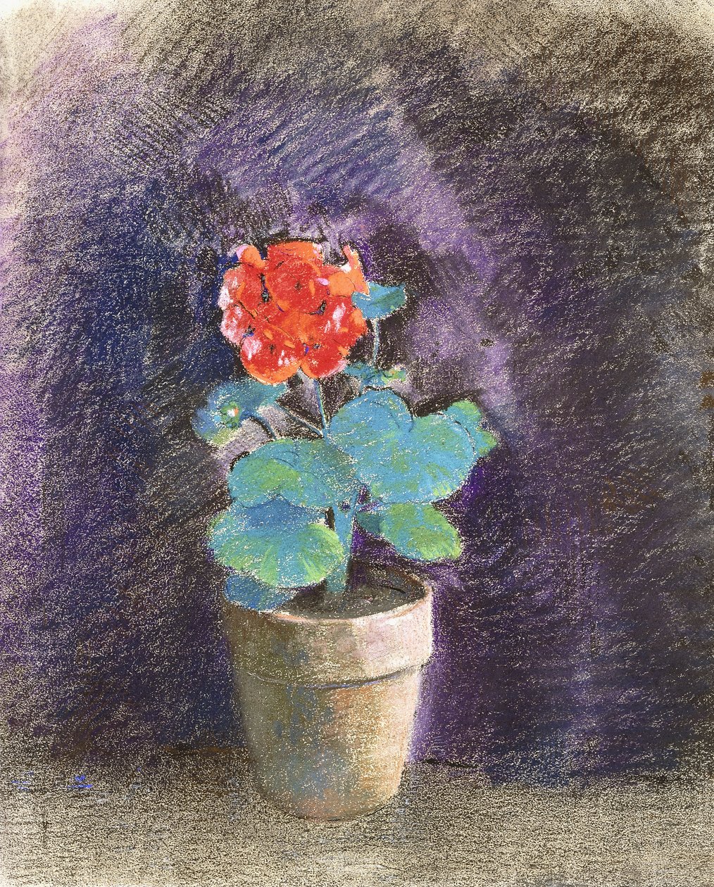 Pelargónie, od Odilon Redon
