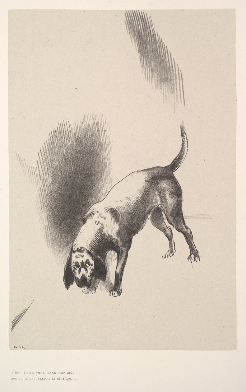 Upřel na mě oči s tak zvláštním výrazem, 1896. od Odilon Redon